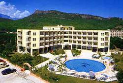 LE PALM
